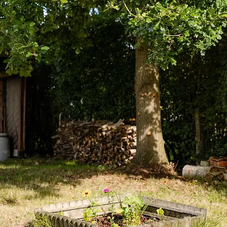 Vakantiehuis Huswell - Cosy Near The Sea With Car & Bike Parking